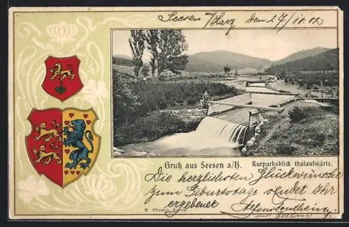 Passepartout-Lithographie Seesen a. H., Kurparksblick thalwärts, Wappen