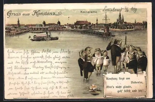 Lithographie Konstanz, Panorama des Ortes mit Bodensee, Frösche in Anzügen bei einem Konzert