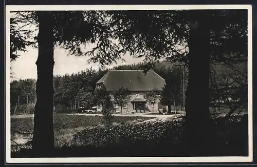 AK Elzach /Baden, Höhengasthaus und Pension zur Heidburg, Inh. A. Schneider