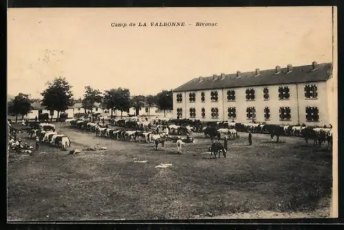 AK La Valbonne, Camp, Bivouac