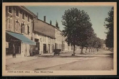 AK Pont-de-Vaux /Ain, Place Michel Poisat