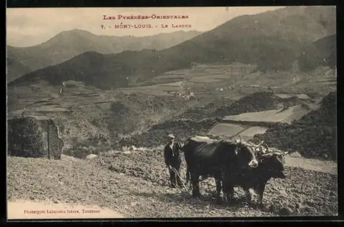 AK Mont-Louis, Le Labour avec vue sur les Pyrénées-Orientales