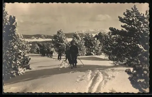 AK Font-Romeu, Ski de fond dans la forêt enneigée