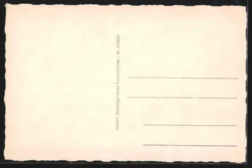 AK Kollund, Panorama