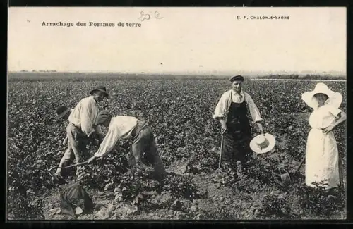 AK Chalon-sur-Saône, Arrachage des Pommes de terre