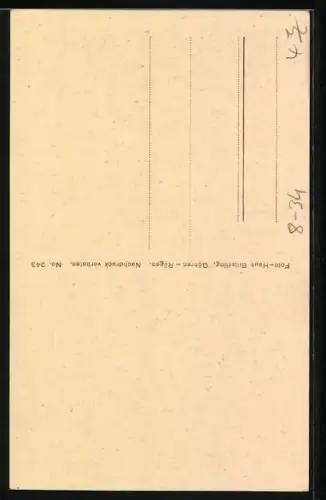 AK Insel Rügen, Mönchguterin am Spinnrad