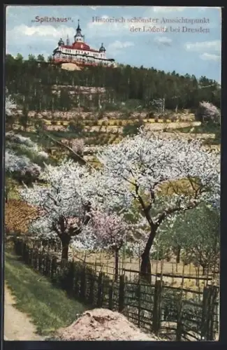 AK Lössnitz /Dresden, Spitzhaus bei Baumblüte