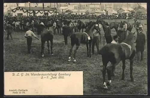 AK Hamburg, DLG Wanderausstellung 1910, Ausstellungsgelände mit Pferden u. Besitzern, Panorama