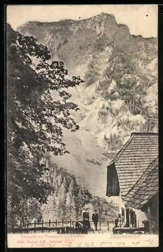 AK Gmunden /Salzkammergut, Meieralm und Traunstein