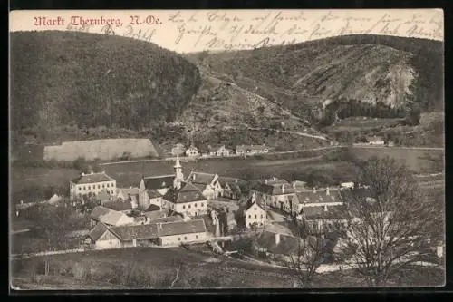 AK Thernberg /N.-Ö., Panorama mit Kirche und Häusern