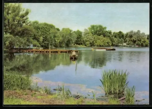 AK Weissensee /Berlin, Weisser See in Weissensee
