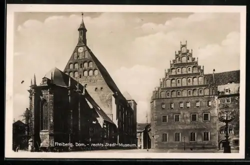 AK Freiberg / Sachsen, Dom, Stadt-Museum