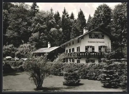 AK Schönau / Königssee, Gasthaus Café Punzeneck, Inh. G. u. L. Pfnür