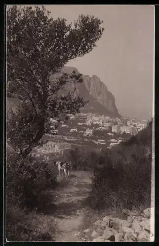 AK Capri, Ansicht der Ortschaft mit dahinter liegenden Felsabstürzen