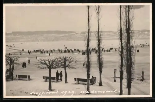 Foto-AK Wädenswil, Besucher auf dem zugefrorenen See, 1929