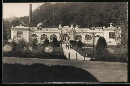 Foto-AK Rohitsch-Sauerbrunn, Kaiserbad V mit Nestlé-Werbung