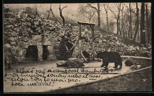 AK Prag, Hradcany, Medvedi v Hor. Jelenim prikope, Bärengraben