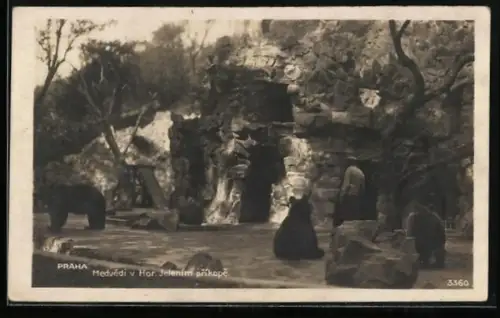 AK Praha, Hradcany, Medvedi v Hor. Jelenim prikope, Bärengraben