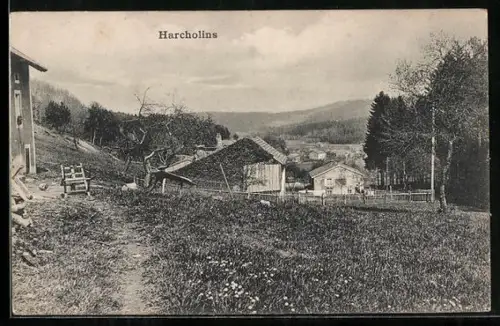 AK Harcholins, Panorama