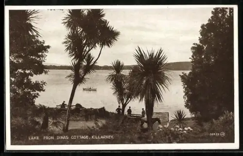 AK Killarney, Lake from Dinas Cottage