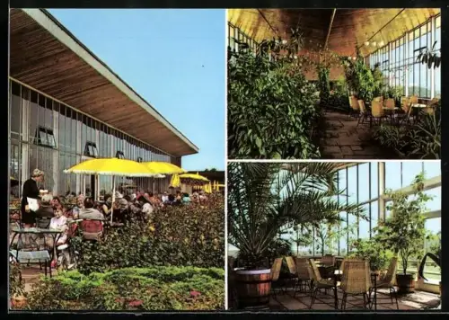 AK Frankfurt (Oder), HO-Gaststätte Wintergarten mit Innenansichten