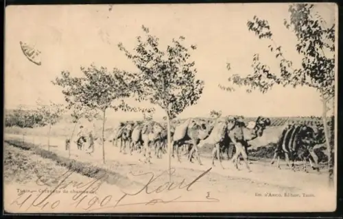 AK Tunis, Caravane de chameaux