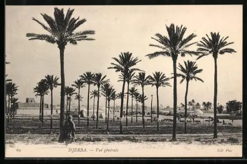 AK Djerba, Vue générale