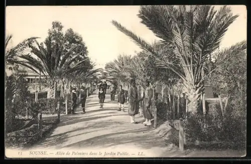 AK Sousse, Allée de Palmiers dans le Jardin Public