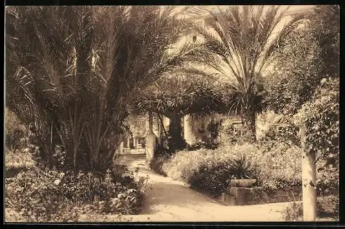 AK Alger, Hotel St-George