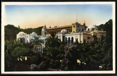 AK Alger, Palais d`eté de M. le Gouverneur de l`Algérie et ses Jardins