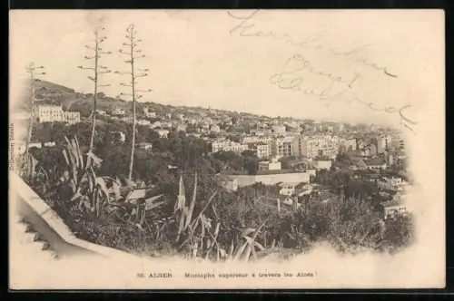 AK Alger, Mustapha supérieur à travers les Aloes