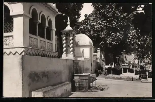 AK Alger, Fontaine de la Mosquée du Hamma