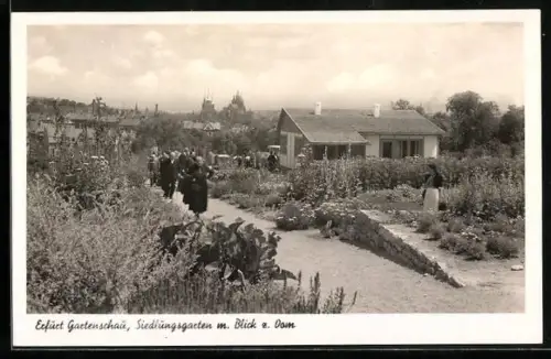 AK Erfurt, Gartenschau, Siedlungsgarten mit Blick zum Dom