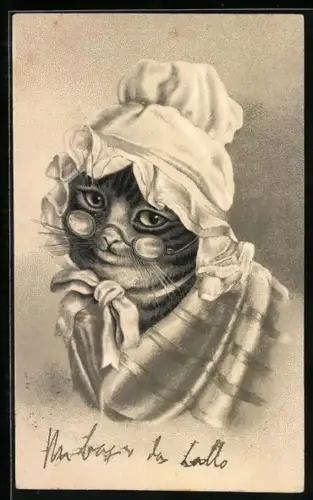 AK Katze mit Brille und Haube
