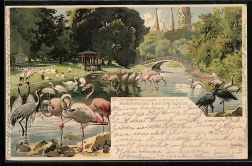 Lithographie Berlin, Neptunteich im Zoologischen Garten