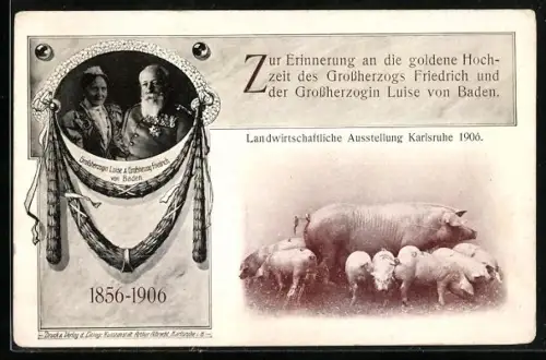 AK Karlsruhe, Landwirtschaftliche Ausstellung 1906, Sau mit Ferkeln, Viehzucht, Porträt Grossherzog Friedr. v. Baden
