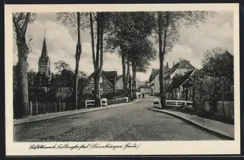 AK Fallingbostel /Lüneburger Heide, Strassenpartie