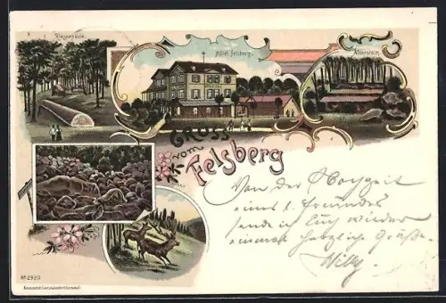 Lithographie Felsberg / Odenwald, Hotel Felsberg, Altarstein, Riesensäule