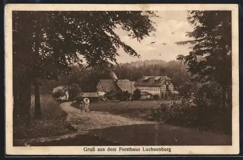 AK Ohorn, Forsthaus Luchsenburg, Waldlandschaft
