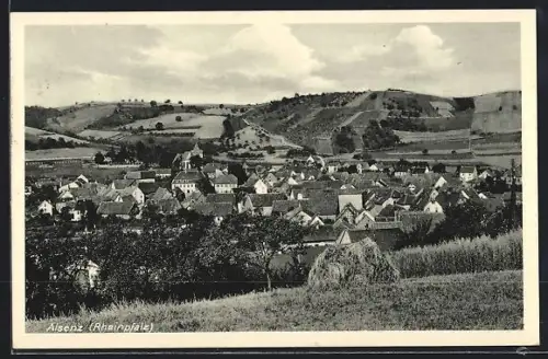 AK Alsenz /Rheinpfalz, Ortsansicht mit umliegenden Weinbergen
