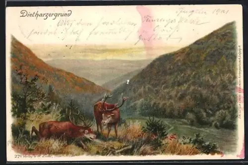Lithographie Schwarzburg, Panorama mit Hirschen, Schwarzathal