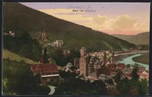 AK Miltenberg a. M., Blick vom Grauberg