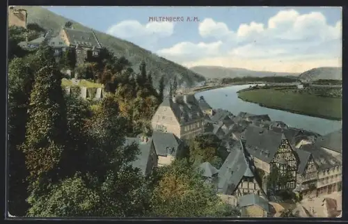 AK Miltenberg a. M., Blick auf Altstadt und Mainufer