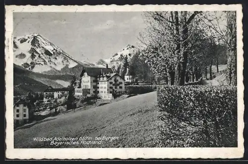 AK Adelholzen b. Bergen, Ortspartie und Gebirgspanorama