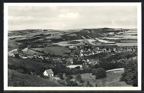 AK Mannweiler /Pfalz, Ortsansicht mit umliegender Landschaft