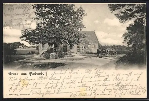 AK Todendorf / Mollhagen, Strassenpartie mit Pferdekutsche