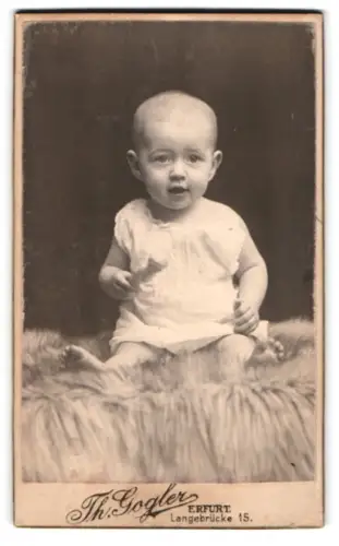 Fotografie Th. Gogler, Erfurt, Langebrücke 15, Anneliese als Kleinkind auf einem Fell