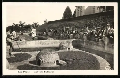 AK Sao Paulo, Instituto Butantan