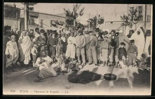 AK Tunis, Charmeur de Serpents, Einheimische betrachten den Schlangenbeschwörer, arabische Volkstypen