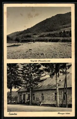 AK Csontos, Hangya uzlete, Ung-hid Havasköz fele